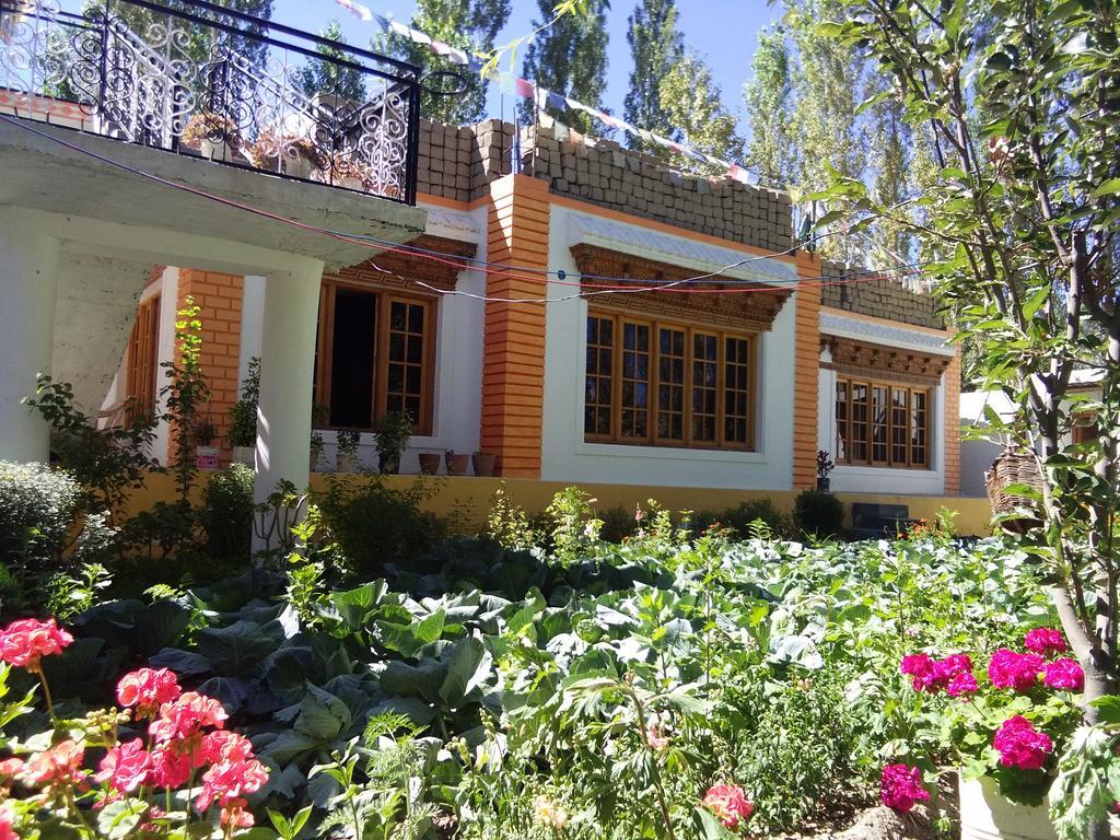 Galaxy Guest House Hundar Kültér fotó