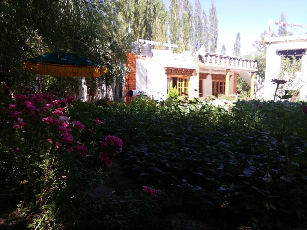 Galaxy Guest House Hundar Kültér fotó